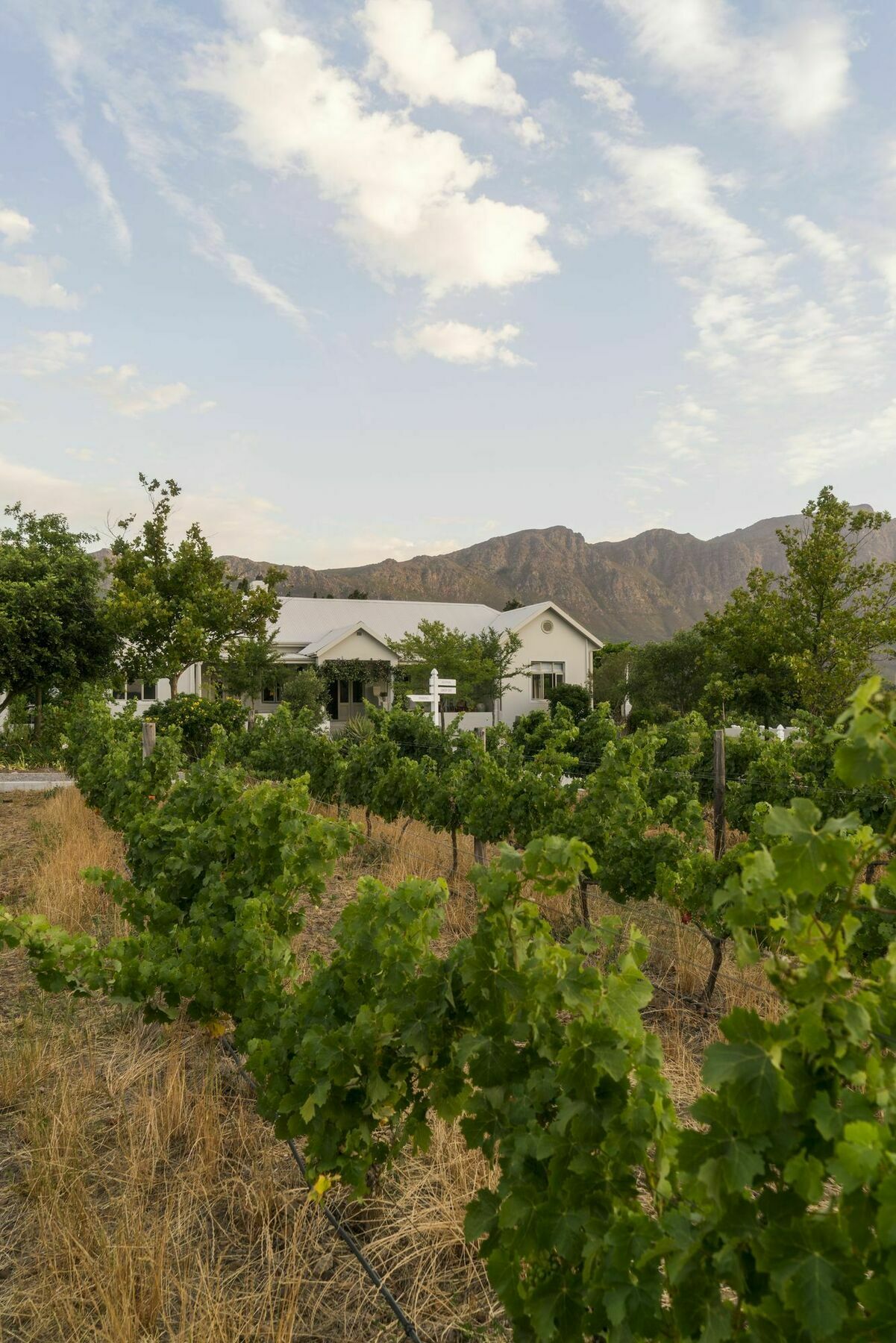 Cape Vue Country House Hotel Franschhoek Luaran gambar